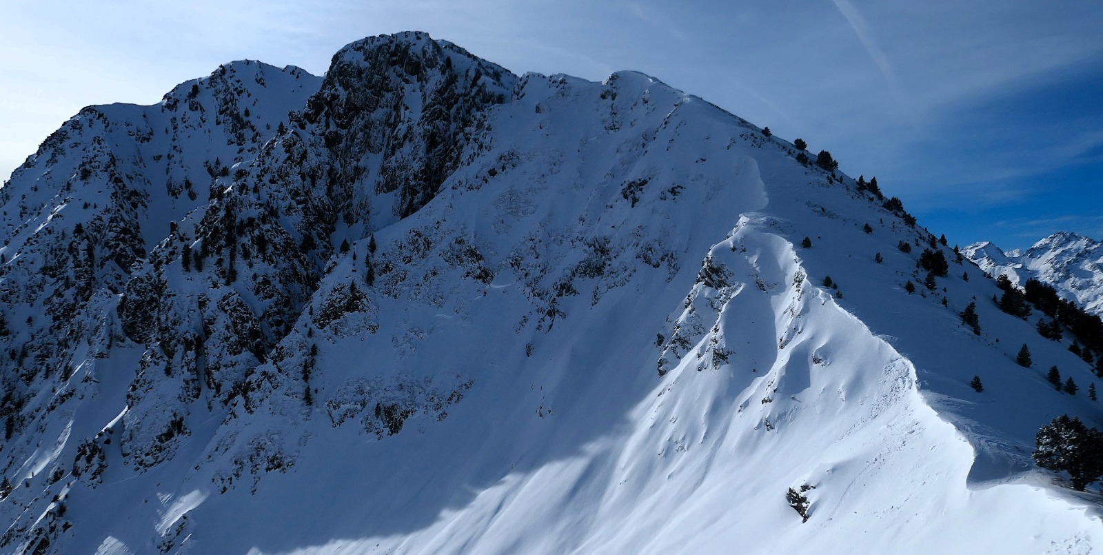 WhatsApp Image 2026 01 21 at 22.50.36 1